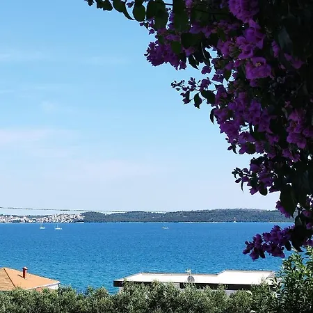 Filip * Trogir